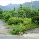 여주-0513 Daum카페