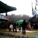 서천군 마량리 [제15회 동백꽃 축제와 당제]이야기 이미지