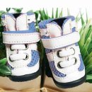 도기스쿨 이미지