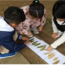 자연생활어린이집 이미지