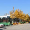 구미전자공업고등학교 이미지