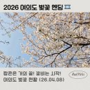 ㈜물빛자전거세상 | 2026 여의도 벚꽃 엔딩 후기🌸 지금 상태 + 데이트 코스 정리(4월 8일)
