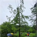 영축산순환산책로(광운대역) 티스토리