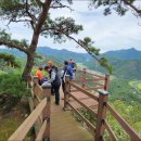 순창 무직산(珷織山578.5m) 산행 이미지