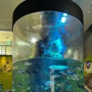 간전중앙로 이미지