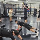 용인대SM복싱클럽 길동점 이미지