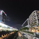 동대문 서울 달빛 이미지