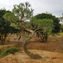 하루농장 이미지