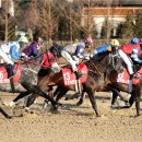 한국마사회 - 의정부시 | 한국마사회