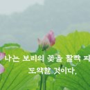 수요 정기 인터뷰 안내 이미지