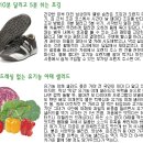 웰빙다이어트