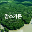 🌳국제위러브유[회장 장길자]-맘스가든 프로젝트 함께해요 이미지