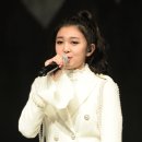 다미 이미지