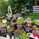 시크릿 가든펜션 이미지