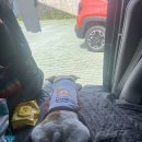 성산포수협목욕탕 | 제주 애견동반 차박여행🚘 (표선우동가게, 섭지코지, 성산포수협목욕탕, 성산하나로마트, 신양섭지해변)