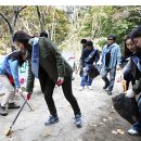 푸른산 디자인 이미지