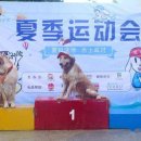 따라 애견학교 이미지