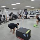 부담없으면돼지