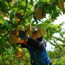 (주)리더디자인 이미지