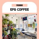 EFG(이에프지) 네이버블로그