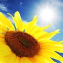 서울하나안과의원 이미지