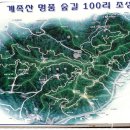 9 월 테마산행 / 계족산 ( 대전). 이미지