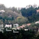 나무향가득