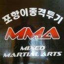 포항이종격투기 이미지