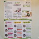 치즈바다 이미지