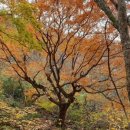 여흥2구 이미지