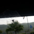 거제자동차유리