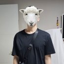 F4802 네이버블로그