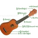 띵가띵가 우쿨렐레 이미지