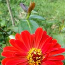 박달농장 이미지