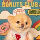 김포애견클럽 이미지