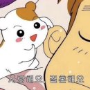 호람갤러리웨딩 | 프리드라이프 웨딩 보험 결혼 준비 후기