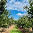 우적농장 이미지