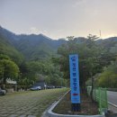 정선군생태체험학습장캠핑장 | 정선 동강 생태 학습장 펫 캠핑장