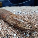 방앗간의추억 이미지