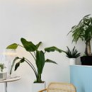 스물넷일곱 이미지