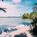 으뜸50안경삼성점 이미지