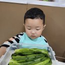 🌼으뜸반 갓🥬물김치 담그기😍 이미지
