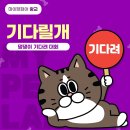 마이펫아카데미 이미지