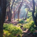 아크릴화 그리기 이미지