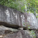 숲속의 산책 이미지