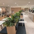 보난자커피로스터리 | 롯데백화점 부산본점 신상카페, 베를린 3대 로스터리 '보난자커피 서면' 솔직 후기