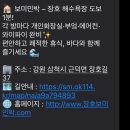 수 민박 | 삼척 장호항 숙소 '장호 보미민박' 후기(바다까지 도보 1분)
