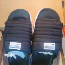 해뜨는 집 이미지