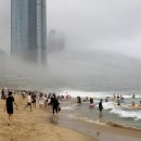 하나방역 동부산지점