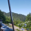 더덜하우스 이미지